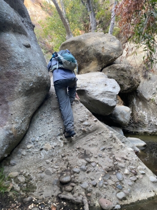 On the way back, we took the offshoot to the waterfall.