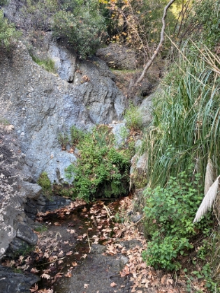 There was actually a little bit of water in the "waterfall".