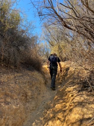 The upper section of trail has some great terrain.