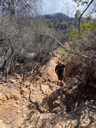 This is the trail, are you kidding me!?