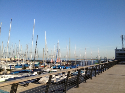 The Tel Aviv marina area.