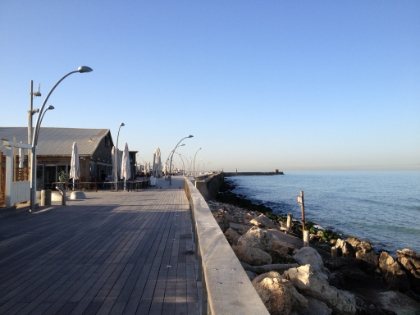 A look south along the marina.