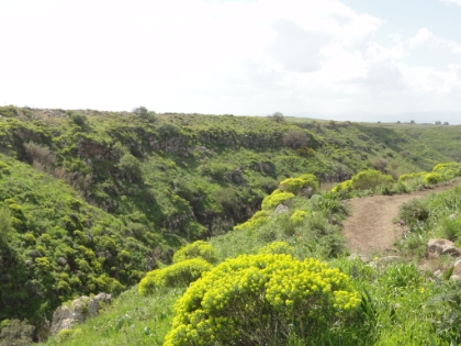 A look down the canyon from Avit Fall.