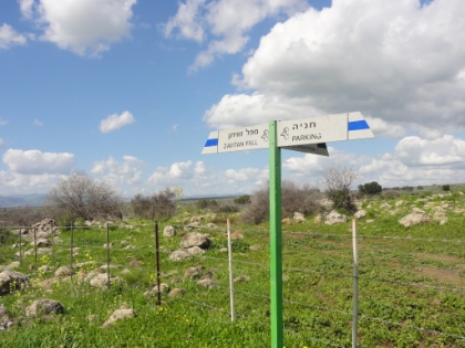 Someone at Avit Fall attempted to give me directions (in very broken English) to the Yehuidya trail. I wandered around aimlessly again for a while. Just when I was about to give up, I came across the Yehudia Information Center, which is the entrace to the park and trailhead. It was just after noon at this point, and I knew the trail closed early. I was afraid I would be too late, and I was right. They said "too late for the Yehudia trail, everyone must be off the trails by 3:00pm". I said "I move pretty fast". They said "NO!". I said "what happens if you're not off the trail by 3:00". They said "800 shekel ($200) fine". And the trail guide indicated that some of the trails in the area close at certain times for "live fire exercises" since there is an active military base in the area.  Not wanting to mess with the Israeli commandos, I decided to do the only trail they would let me do, which was the Zavitan Fall trail.