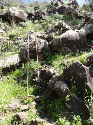 The trail coming down into the canyon. These ladders are pretty common on Israeli trails. Notice also the white and blue striped trail marker. These painted markers are used on the trail system throughout Israel. The color and direction indicate what type of trail you are on as well as turns and junctions.