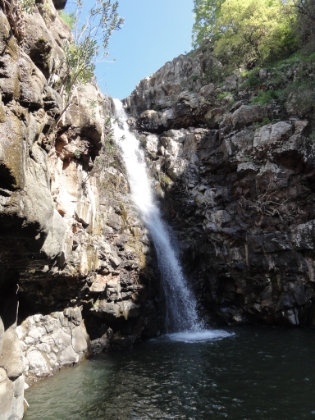 And about as close as I can get.