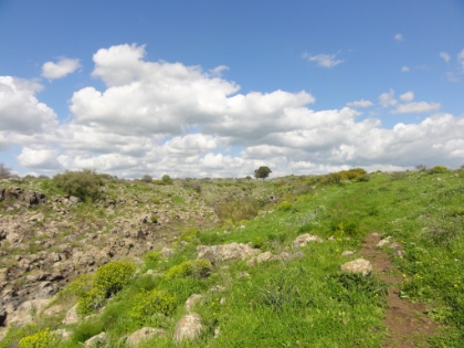 The trail along the canyon ridge. Flat but nice and green.