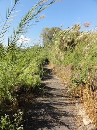 Heading down the trail from Bethaisda Mount towards the Jordan River.