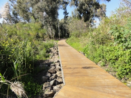 Walkway over the marshes.