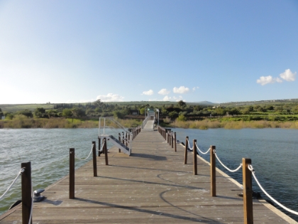 Looking back towards shore.