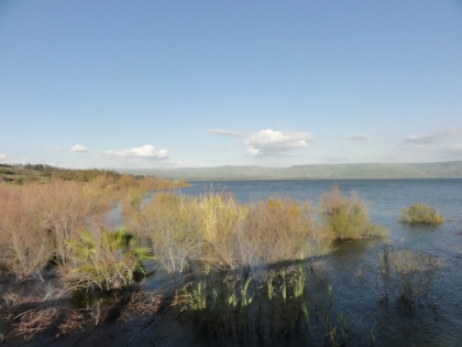 The coast along the sea.