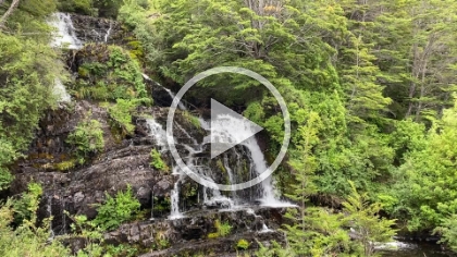 A quick video of the falls.