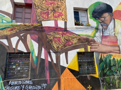 Our guide Tanya picks us up for a half-day tour of Santiago. We see lots of examples of the vibrant street art for which Santiago is known.