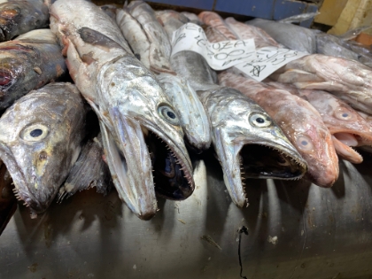 Next we walked through Mercado Central, which has an amazing fish market. The selection of fish is impressive, but I'm not sure I'd want these on my plate! With that, we headed back to the hotel.