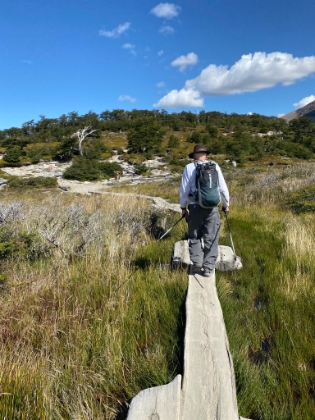 A walkway across the meadow.