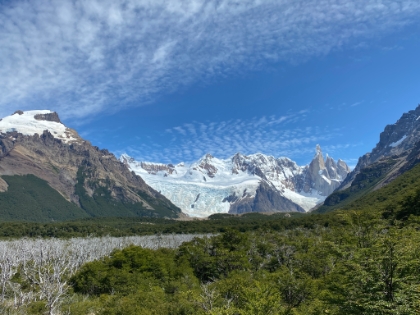 Heading down now with Cerro Torre at our backs. This area had a bad fire about 6 years ago and is still recovering.