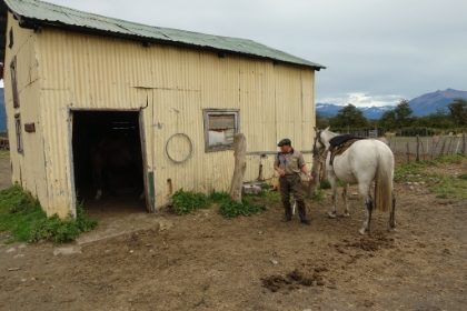 The estancia used to be much larger, but was required to downsize when the National Park was formed. But they still actively raise sheep for wool and cattle for beef. Next we get a quick demonstration of barrel racing from the gauchos.