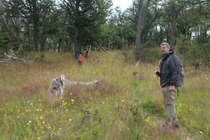 Looking back at the view. The trail here is mostly just a beaten path through the flowers.