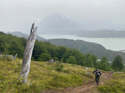 The trail starts getting seriously steep as we get closer to the top. At one point, the trail is equivalent to a 1,600' mile.
