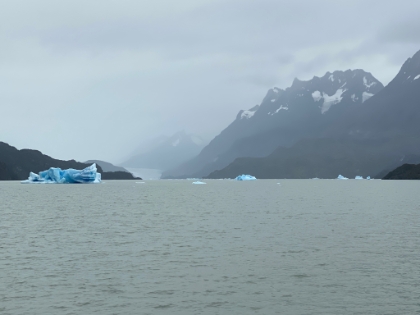 A zoomed in view of the face of Grey Glacier extending over 100 feet above the waterline. Grey Glacier covers over 100 square miles!