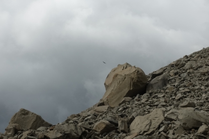 We got to watch a couple huge Condors soaring in the convection currents above the lake. There's evidently a nest on one of the nearby Cerros. Now it's time for us to head back down.
