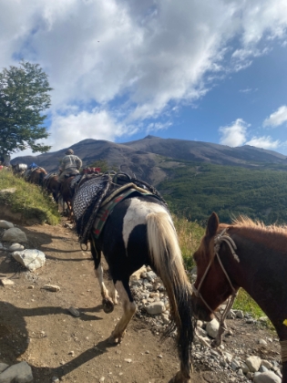 A horse train with gauchos bringing supplies up to Refugio Chileno.