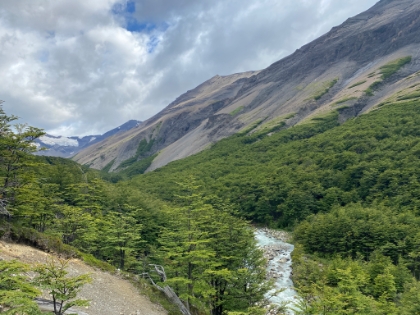 Rio Ascencio flowing through the Lenga forest.