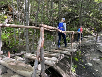 This bridge could probably use a little repair.