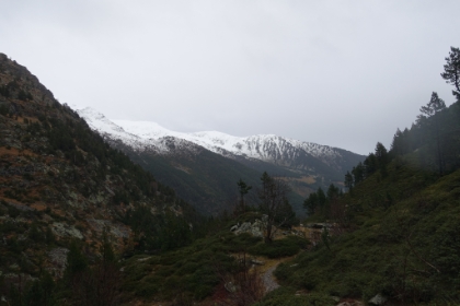 It's starting to rain heavier now, and I lose several pictures to a fogged-up camera lens. I wish they made a ruggedized version of my new camera!