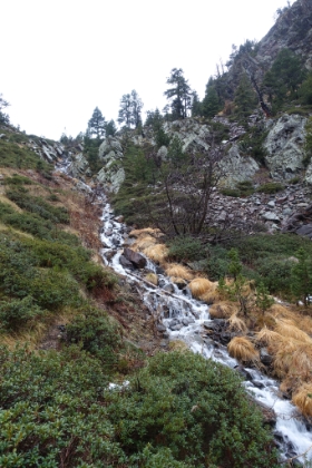 The trail gets steep and follows alongside the cascades, steep enough in places to almost become a true waterfall.