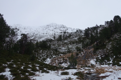 View of the Coma Pedrosa. It's still almost 600m (2,000') above me. I wish I had enough time to summit. But the long drive, combined with getting lost on the way to Andorra, means I don't have quite enough time today.