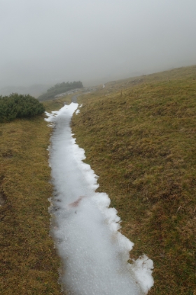 There's a light rain falling again today, and the temperature is dropping as the elevation climbs. The standing water in the trail is frozen solid!
