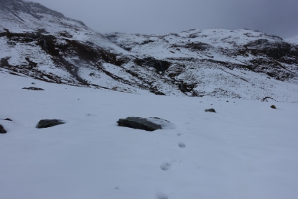 Looking back at the spot from the previous picutre. The snow is starting to get deep enough now that I'm postholing.