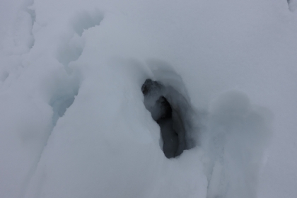 Post-holing crotch deep in places now with some dangerous gaps in the rocks underneath.