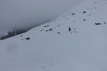 Looking back at my tracks, almost up to the ridgeline now. I'm starting to worry about being able to get back down before dark. Normally, coming down in the dark might be fun, but not sure I want to try that today. I remind myself that I'm the only one on this mountain, in the middle of the Pyrenees, 6,000 miles from home, and noone knows I'm here. Rather surreal and exciting on the one hand, but not too smart on the other.