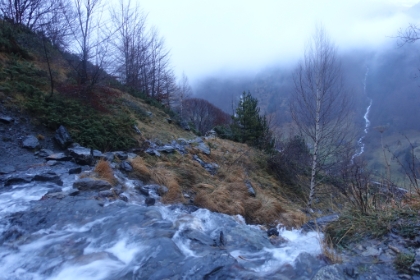 There are a few legit stream crossings along the way.