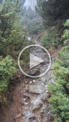 Not a creek, that's the trail. Evidently they don't believe in culverts around here.  For best performance, you can view the video on  YouTube .