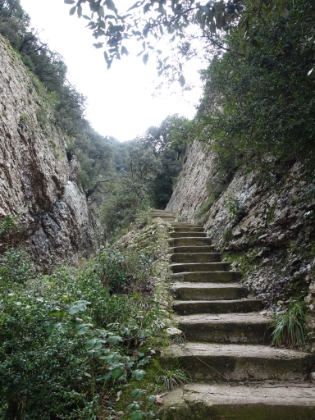 The information center said it was a 4 hour round trip to the summit. I had a little over 2 hours until the last cable car left. If I didn't catch that one, I'd be staying on the mountain for the night. I decided to take my chances, and hoped that 4 hours was measured in tourist time.  The trail is really steep right from the start with tons of stairs.