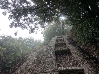 A really old set of stairs, almost to the summit.