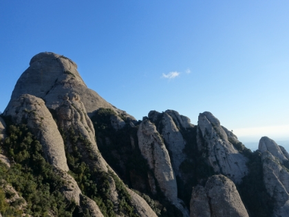 Impressive looking serrats everywhere.