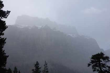 The canyon walls are amazing, but unfortunately barely visible in the fog. What was once a light rain is now becoming snow.