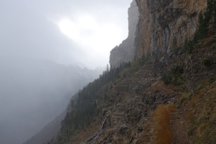 The trail along the faja. It’s narrow with steep dropoffs. Not the place to be if you’re afraid of heights.
