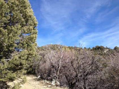 A look up at the radio towers on the peak.
