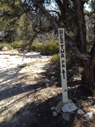 The last leg to my destination for the day, Bertha Peak.