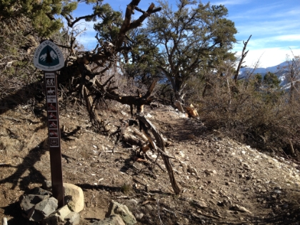 The trail soon intersects the PCT. It's always a good day when you can run even just a little bit on the PCT!