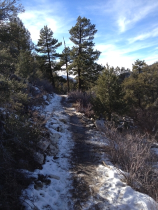 Just enough snow to keep you on your toes.