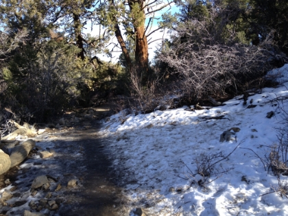 Just a bit of snow in places left from a a storm a couple weeks earlier.