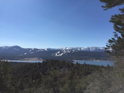 Up the Cougar Crest trail on the North shore of the lake. Here you can see the Snow Summit ski area (with man-made snow) on the South shore and then San Gorgonio in the distance (with real snow).