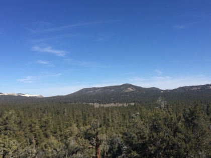 On the PCT now looking down at Holcomb Valley.