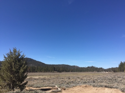 Down some fireroad into Holcomb Valley. It's a nice area, but too bad there isn't a singletrack route down here.